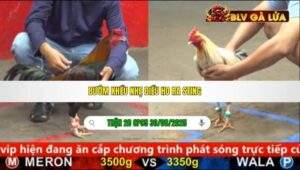 TRẬN 28 CPC5 NGÀY 30/08/2025