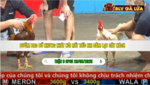 TRẬN 9 CPCP5 29/08/2025