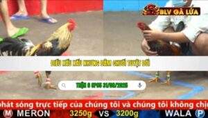 TRẬN 6 CPC5 NGÀY 31/08/2025