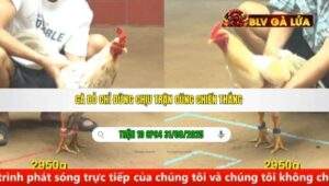 TRẬN 10 CPC4 NGÀY 31/08/2025
