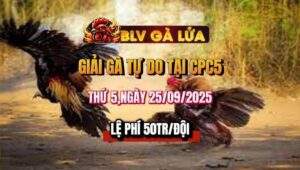 giải gà tự do tại cpc5 ngày 25/09/2025