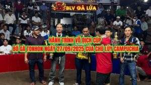 HÀNH TRÌNH VÔ ĐỊCH GIẢI BỒ GÀ TONHON NGÀY 27/9/2025