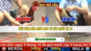 TRẬN 10 CPC5 NGÀY 28/9/2025