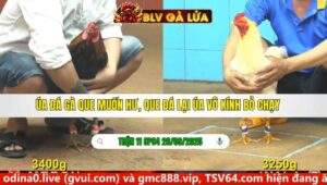 TRẬN 11 CPC4 NGÀY 26/9/2025