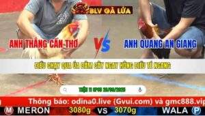 TRẬN 11 CPC5 NGÀY 28/9/2025