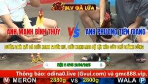 TRẬN 11 CPC5 NGÀY 29/9/2025