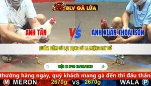 TRẬN 12 CPC5 NGÀY 29/9/2025