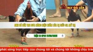 TRẬN 13 CPC4 NGÀY 11/09/2025