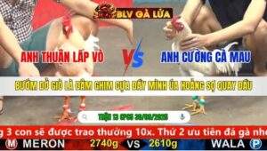 TRẬN 13 CPC5 NGÀY 30/9/2025