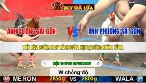 TRẬN 15 CPC5 NGÀY 26/9/2025