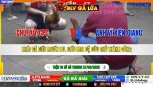 TRẬN 16 TONHON NGÀY 27/9/2025