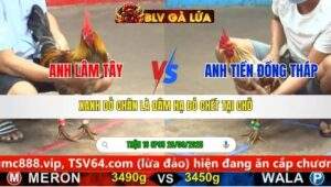 TRẬN 16 CPC5 NGÀY 28/9/2025