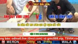 TRẬN 17 CPC5 NGÀY 28/9/2025