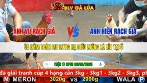 TRẬN 17 CPC5 NGÀY 30/9/2025