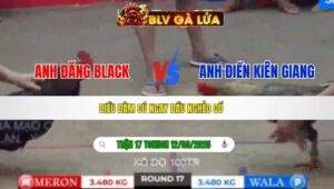 TRẬN 17 TONHON NGÀY 12/09/2025