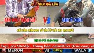 TRẬN 18 CPC5 NGÀY 20/9/2025