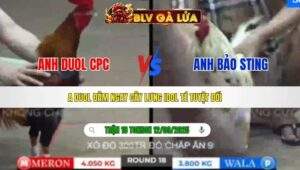 TRẬN 18 TONHON NGÀY 12/09/2025