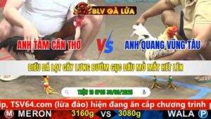 TRẬN 19 CPC5 NGÀY 30/9/2025