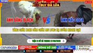 TRẬN 21 TONHON NGÀY 27/9/2025