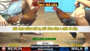 TRẬN 22 CPC4 NGÀY 26/9/2025