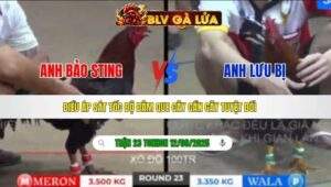 TRẬN 23 TONHON NGÀY 12/09/2025