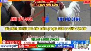 TRẬN 29 TONHON NGÀY 27/9/2025