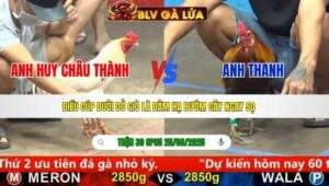 TRẬN 30 CPC5 NGÀY 25/9/2025