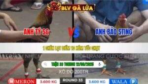 TRẬN 33 TONHON NGÀY 12/09/2025