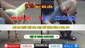 TRẬN 35 TONHON NGÀY 12/09/2025