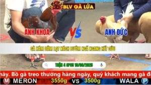 TRẬN 4 CPC5 NGÀY 19/9/2025