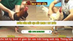 TRẬN 4 CPC4 NGÀY 29/9/2025