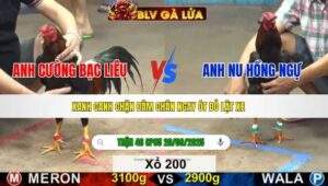 TRẬN 46 CPC5 NGÀY 20/9/2025