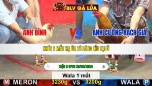 TRẬN 5 CPC5 NGÀY 29/9/2025