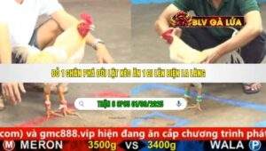 TRẬN 6 CPC5 NGÀY 01/09/2025