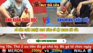 TRẬN 6 CPC5 NGÀY 29/9/2025