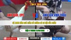 TRẬN 6 TONHON NGÀY 12/09/2025