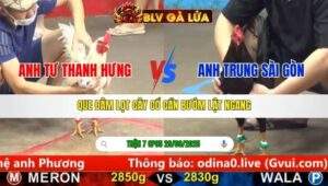 TRẬN 7 CPC5 NGÀY 29/9/2025