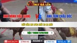 TRẬN 7 TONHON NGÀY 12/09/2025