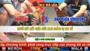 TRẬN 8 CPC5 NGÀY 28/9/2025