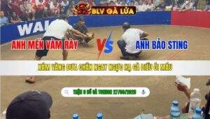 TRẬN 9 TONHON NGÀY 27/9/2025