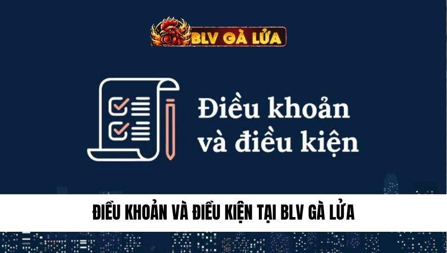 điều khoản và điều kiện