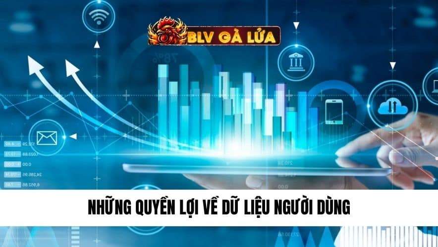 những quyền lợi về dữ liệu người dùng
