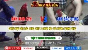 TRẬN 12 TONHON NGÀY 12/09/2025