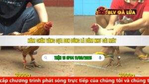 TRẬN 16 CPC4 NGÀY 11/09/2025