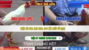 CHUNG KẾT TONHON NGÀY 12/09/2025