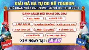 THÔNG BÁO GIẢI GÀ TỰ DO BỒ TONHON NGÀY 2/11/2025