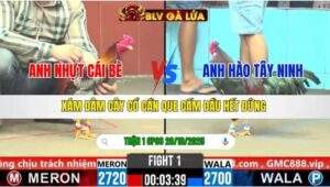 TRẬN 1 CPC6 NGÀY 28/10/2025