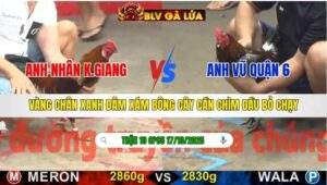 TRẬN 10 CPC5 NGÀY 17/10/2025