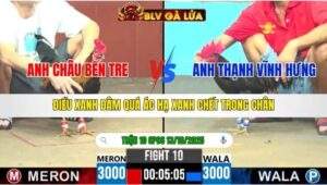 TRẬN 10 CPC6 NGÀY 13/10/2025