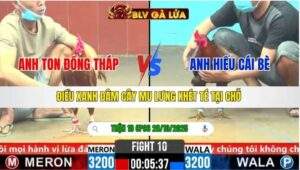 TRẬN 10 CPC6 NGÀY 28/10/2025